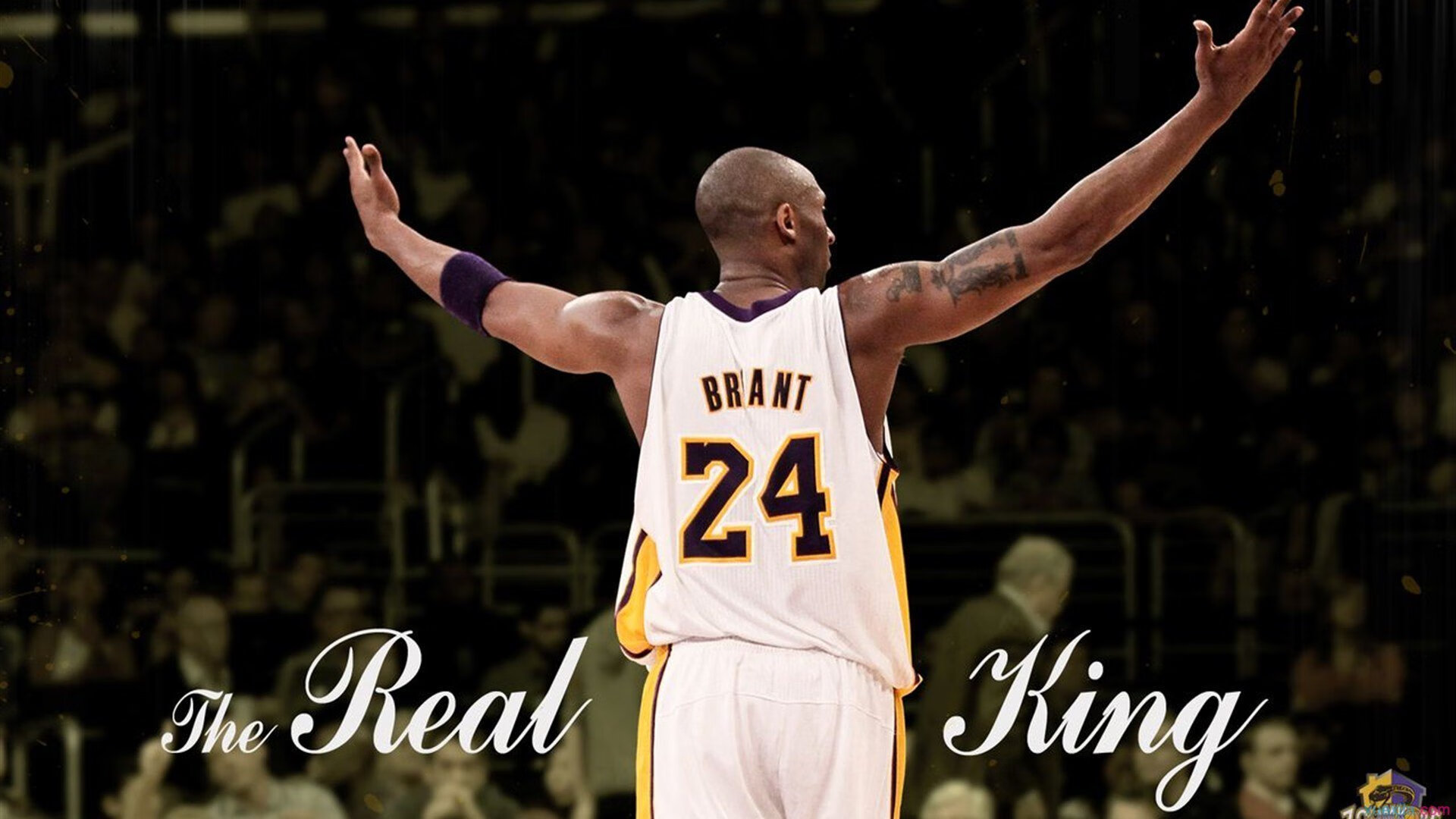 世界杯：移民问题、国家认同等议题通过足球被重新讨论